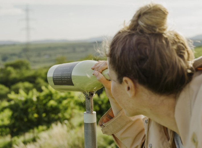 Junge Frau sieht durch ein Fernrohr in die Weinberge