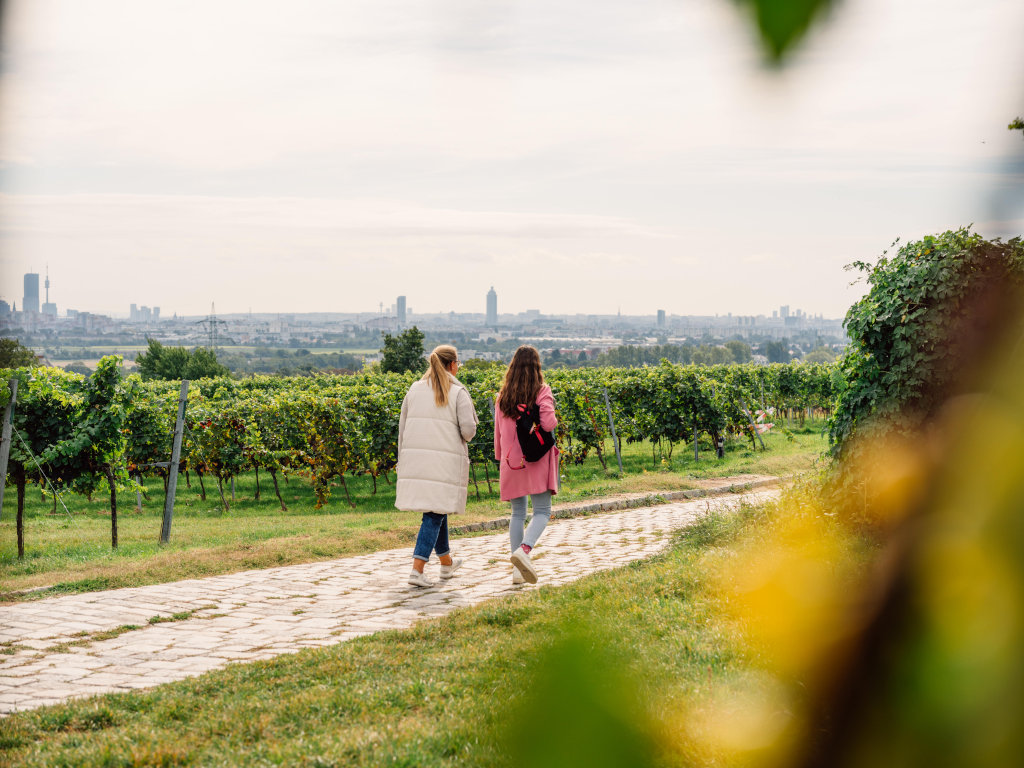 Spaziergang durch die Wiener Weinberge